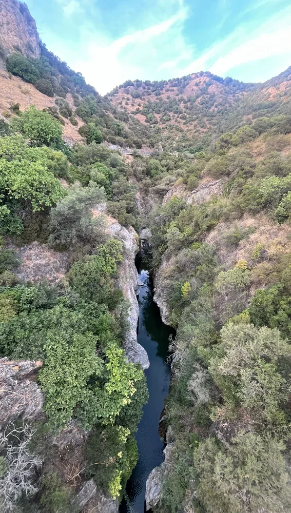 Entorno natural de Benahavís Entorno natural de Benahavís