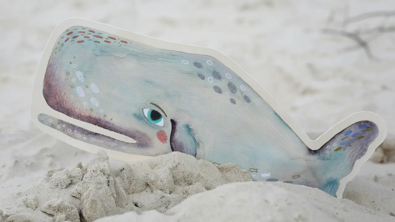Tras las huellas de Moby Dick: viaje literario a Boston y la costa de Massachusetts