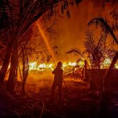 Bomberos en las labores de extinción del incendio en Crevillent.