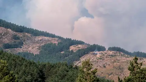 El incendio de Peñalba ingresa en Segovia y obliga a desalojar Riofrío de Riaza y La Pinilla