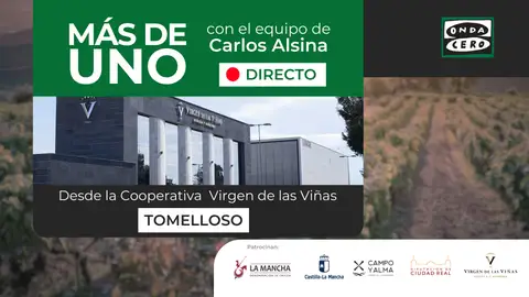 Fiesta de la vendimia: Más de uno desde Tomelloso Fiesta de la vendimia: Más de uno desde Tomelloso
