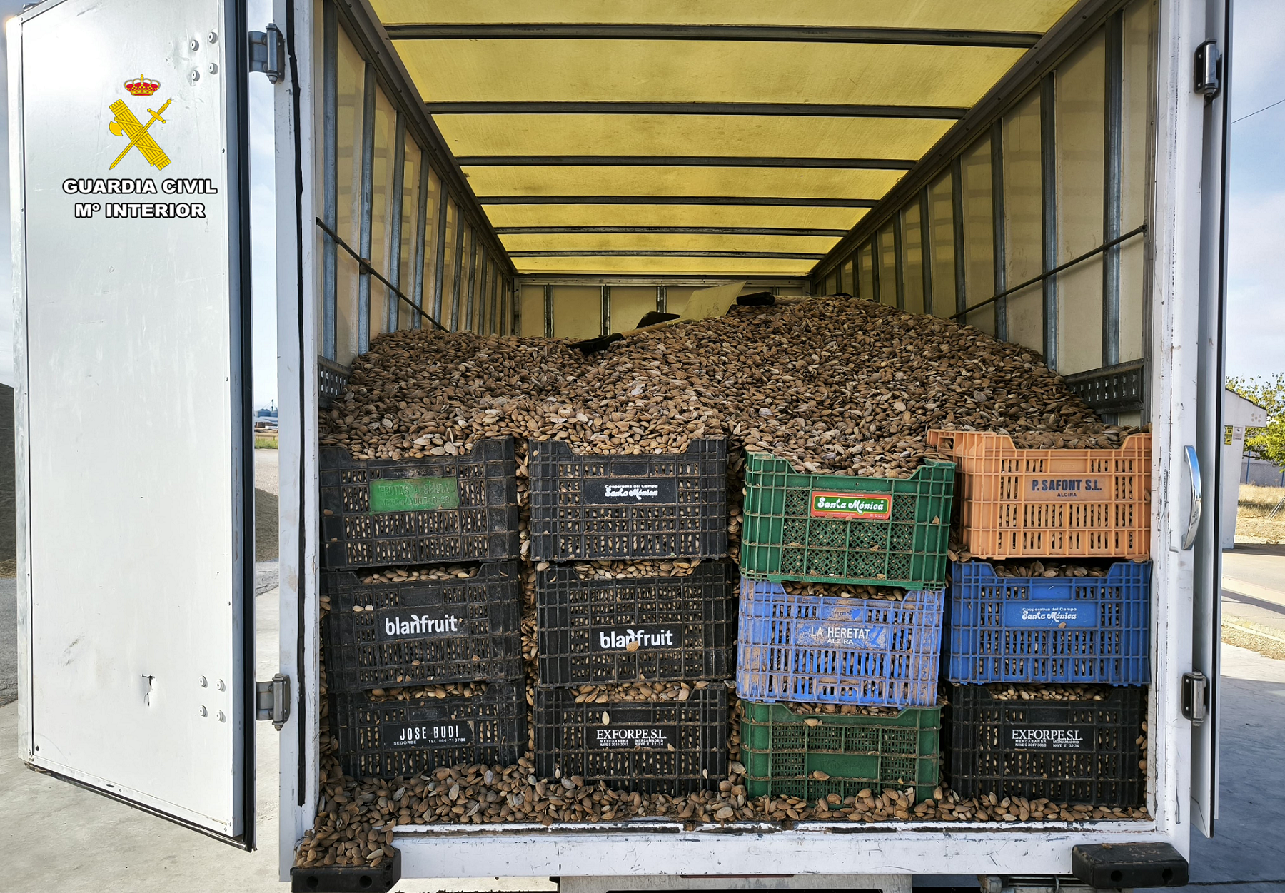 Detenidas dos personas por le robo de 5.400 kilos de almendra Detenidas dos personas por le robo de 5.400 kilos de almendra