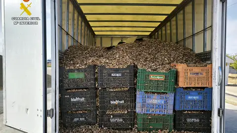Detenidas dos personas por le robo de 5.400 kilos de almendra Detenidas dos personas por le robo de 5.400 kilos de almendra