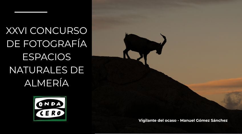 Bases para la XXVI Edición del Concurso de Fotografía Bases para la XXVI Edición del Concurso de Fotografía