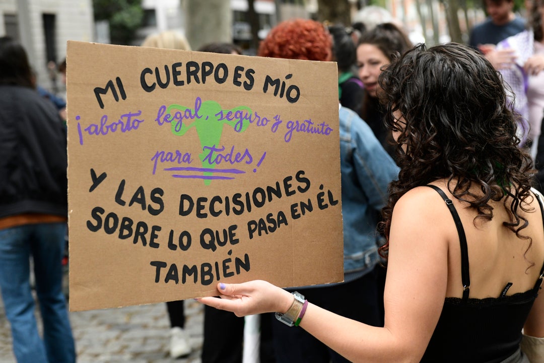 El Gobierno propone incluir el derecho al aborto en la Constitución El Gobierno propone incluir el derecho al aborto en la Constitución