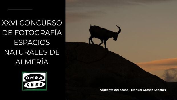 Bases para la XXVI Edición del Concurso de Fotografía