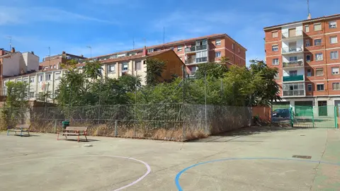El AMPA del CEIP Ave María denuncia la existencia de ratas en el patio del centro .