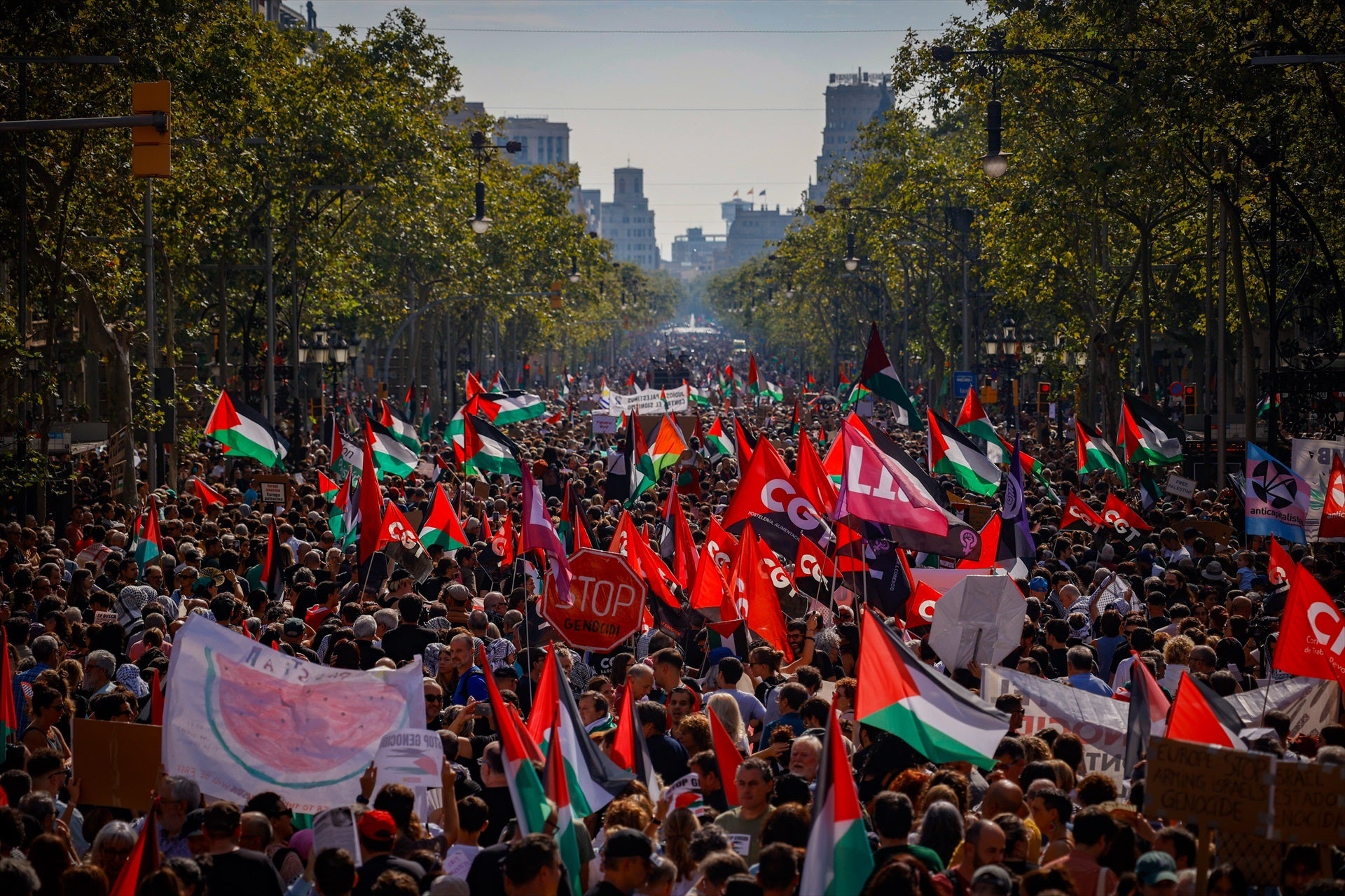 Decenas de miles de personas se manifiestan en toda España contra Israel en apoyo a Palestina Decenas de miles de personas se manifiestan en toda España contra Israel en apoyo a Palestina