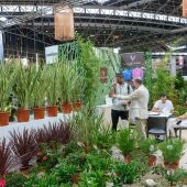 Iberflora 2025 desvela su programa: innovación, formación y networking