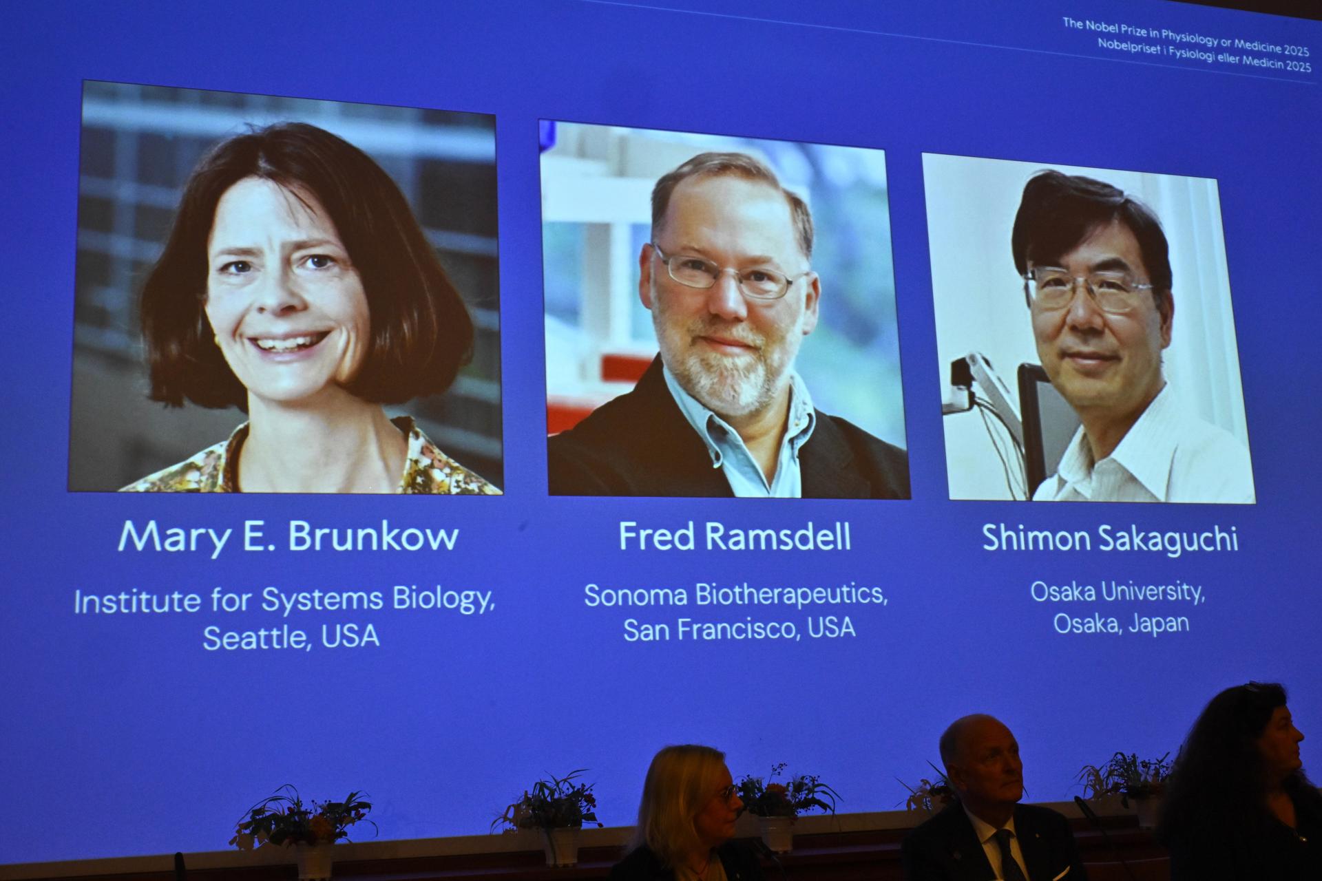 El Nobel de Medicina 2025 es para Brunkow, Ramsdell y Sakagucji por sus hallazgos sobre la "tolerancia inmunológica" El Nobel de Medicina 2025 es para Brunkow, Ramsdell y Sakagucji por sus hallazgos sobre la "tolerancia inmunológica"