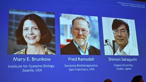 Los ganadores del Premio Nobel de Fisiolog&iacute;a o Medicina 2025, Mary E. Brunkow, Fred Ramsdell y Shimon Sakaguchi County, Suecia, 06 de octubre de 2025. 