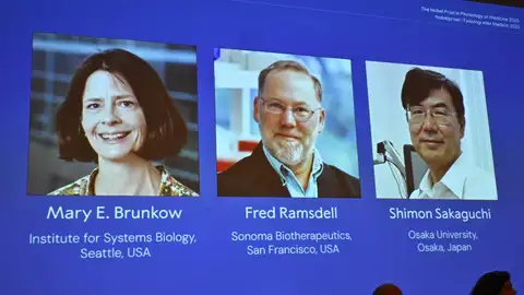 Los ganadores del Premio Nobel de Fisiología o Medicina 2025, Mary E. Brunkow, Fred Ramsdell y Shimon Sakaguchi County, Suecia, 06 de octubre de 2025. Los ganadores del Premio Nobel de Fisiología o Medicina 2025, Mary E. Brunkow, Fred Ramsdell y Shimon Sakaguchi County, Suecia, 06 de octubre de 2025.