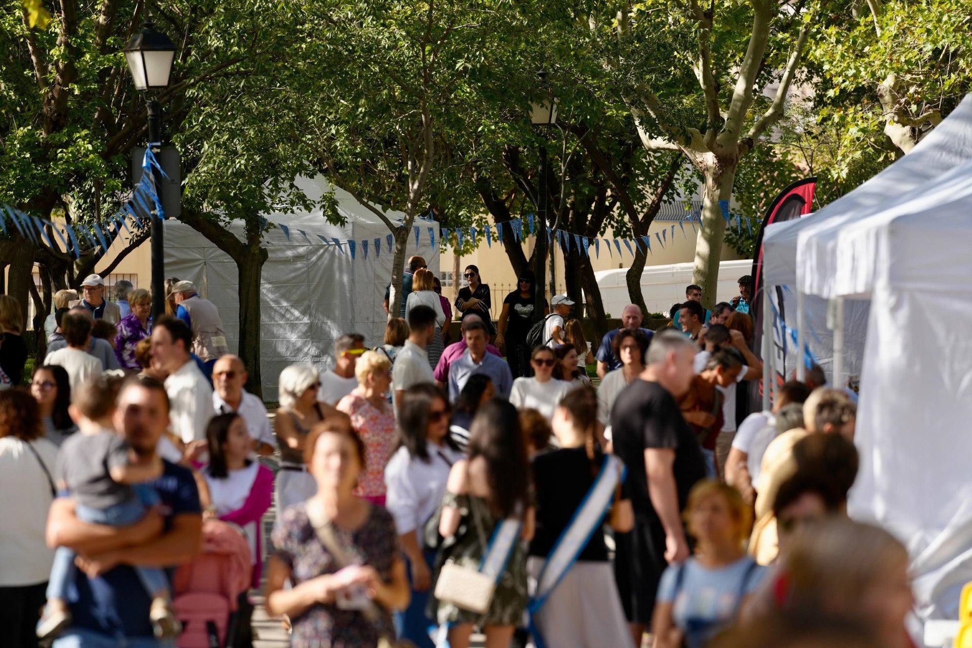L’Alcora prepara un fin de semana intenso con la celebración de las ferias: Mussol, TresorAntic y Comerç Local L’Alcora prepara un fin de semana intenso con la celebración de las ferias: Mussol, TresorAntic y Comerç Local
