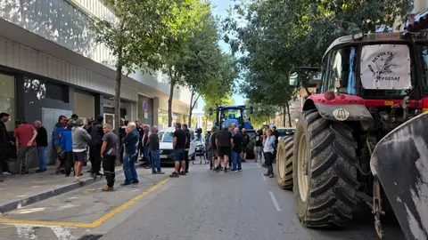 El Gremi de la Pagesia avisa que sortiran "molts casos" de Dermatosi Nodular Contagiosa El Gremi de la Pagesia avisa que sortiran "molts casos" de Dermatosi Nodular Contagiosa