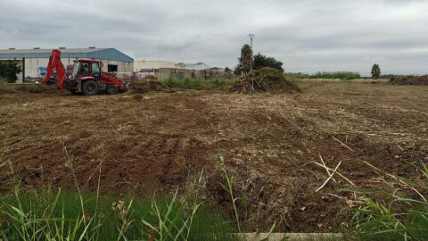 Inicio de las obras de la variante en Albalat de la Ribera Inicio de las obras de la variante en Albalat de la Ribera