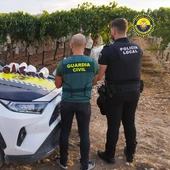 Un agente de la Guardia Civil y otro de la Policía Local de Monforte del Cid en un viñedo de uva de mesa embolsada del Vinalopó. Un agente de la Guardia Civil y otro de la Policía Local de Monforte del Cid en un viñedo de uva de mesa embolsada del Vinalopó.