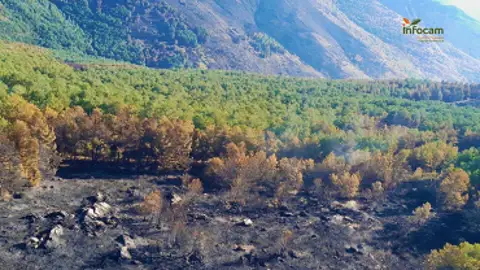 El Cardoso de la Sierra pedirá la declaración de zona catastrófica por el incendio del Pico del Lobo El Cardoso de la Sierra pedirá la declaración de zona catastrófica por el incendio del Pico del Lobo