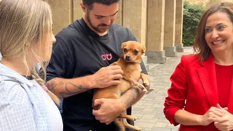 I Feria Nacional de Adopciones I Feria Nacional de Adopciones
