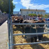 Feria de ganado de Salvatierra