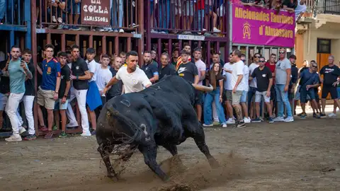 Almassora vive este martes una jornada taurina con la presencia de toros de Zalduendo Almassora vive este martes una jornada taurina con la presencia de toros de Zalduendo