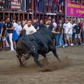 El Mig Any Fester de Almassora contará con programación taurina. El Mig Any Fester de Almassora contará con programación taurina.