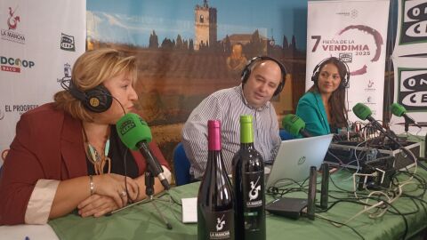 Fiesta de la Vendimia desde El Toboso