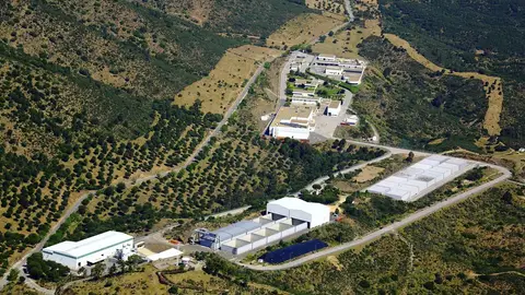 Andalucía es verde Andalucía es verde