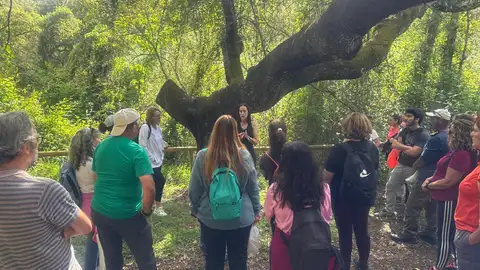 Hornatural Hornatural