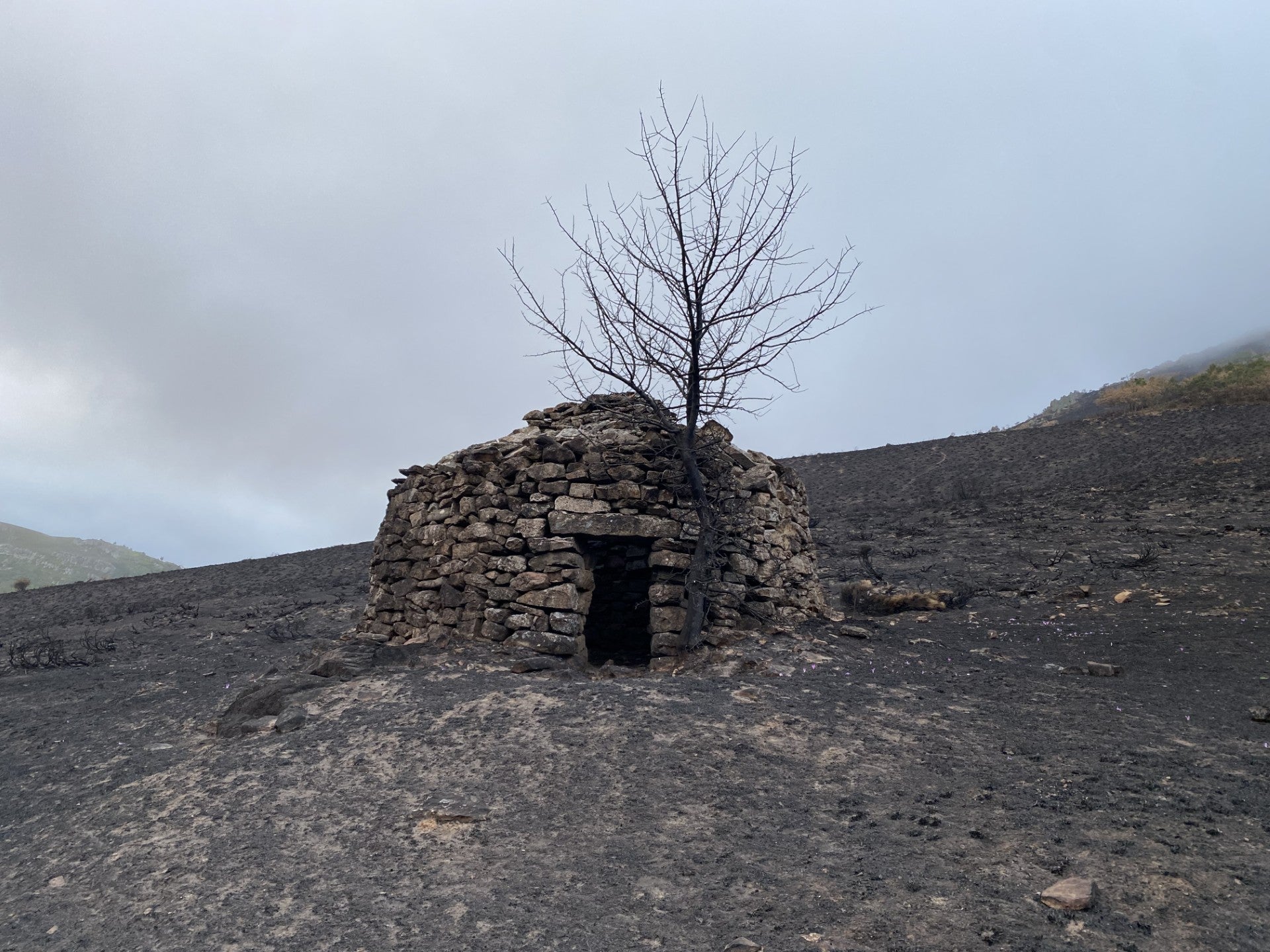 Palencia acogerá el 25 de octubre una manifestación por la gestión de los incendios forestales Palencia acogerá el 25 de octubre una manifestación por la gestión de los incendios forestales