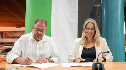 El Ayuntamiento de Mérida, el primero de Extremadura, que destinará 100.000 euros en ayuda humanitaria de emergencia para la población de la Franja de Gaza El Ayuntamiento de Mérida, el primero de Extremadura, que destinará 100.000 euros en ayuda humanitaria de emergencia para la población de la Franja de Gaza