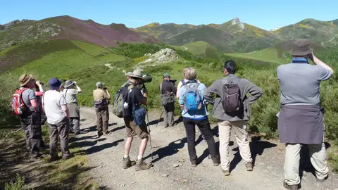 Seis touroperadores internacionales conocen la Montaña Palentina con el objetivo de comercializar paquetes turísticos .