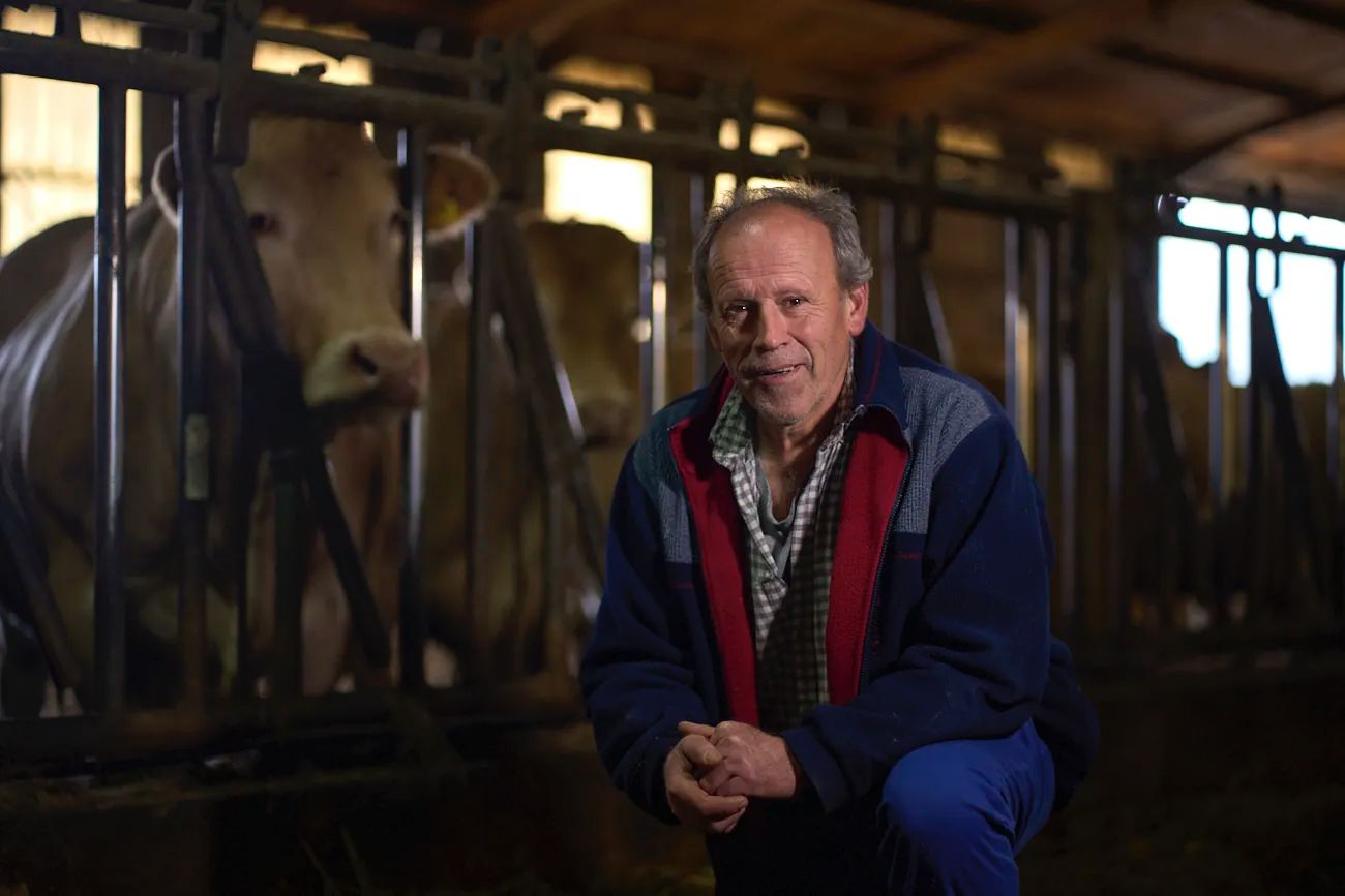 Fermín Irigaray: "Algo se nos escapa en la subida del precio de la ternera" Fermín Irigaray: "Algo se nos escapa en la subida del precio de la ternera"