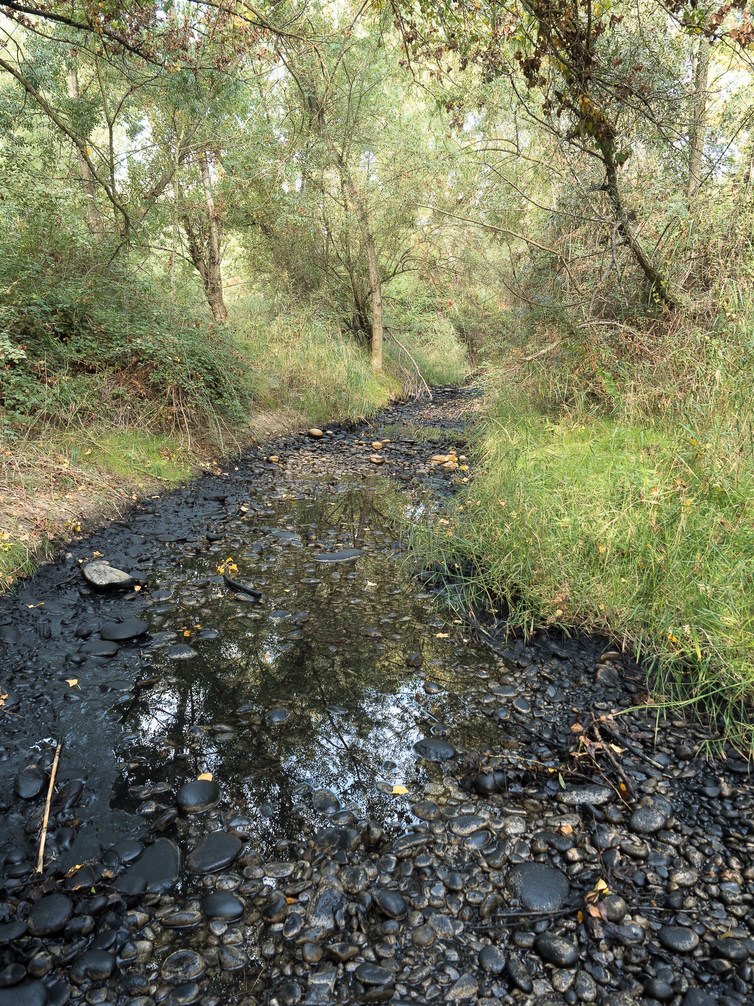 La empresa Carburos del Cinca denunciada por un vertido de fango negro al río en Monzón La empresa Carburos del Cinca denunciada por un vertido de fango negro al río en Monzón