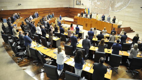 Pleno Asamblea de Extremadura