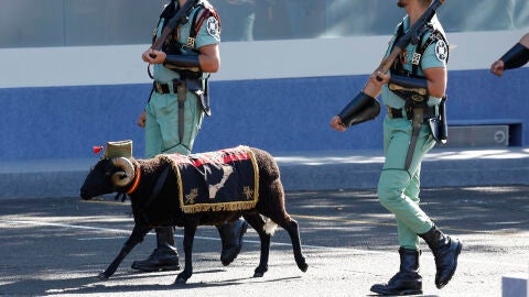 El borrego Baraka durante el desfile con los soldados de la Legión