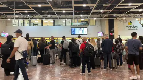 Cues a l'estació de Sants en una jornada de trens suspesos per la dana Alice Cues a l'estació de Sants en una jornada de trens suspesos per la dana Alice