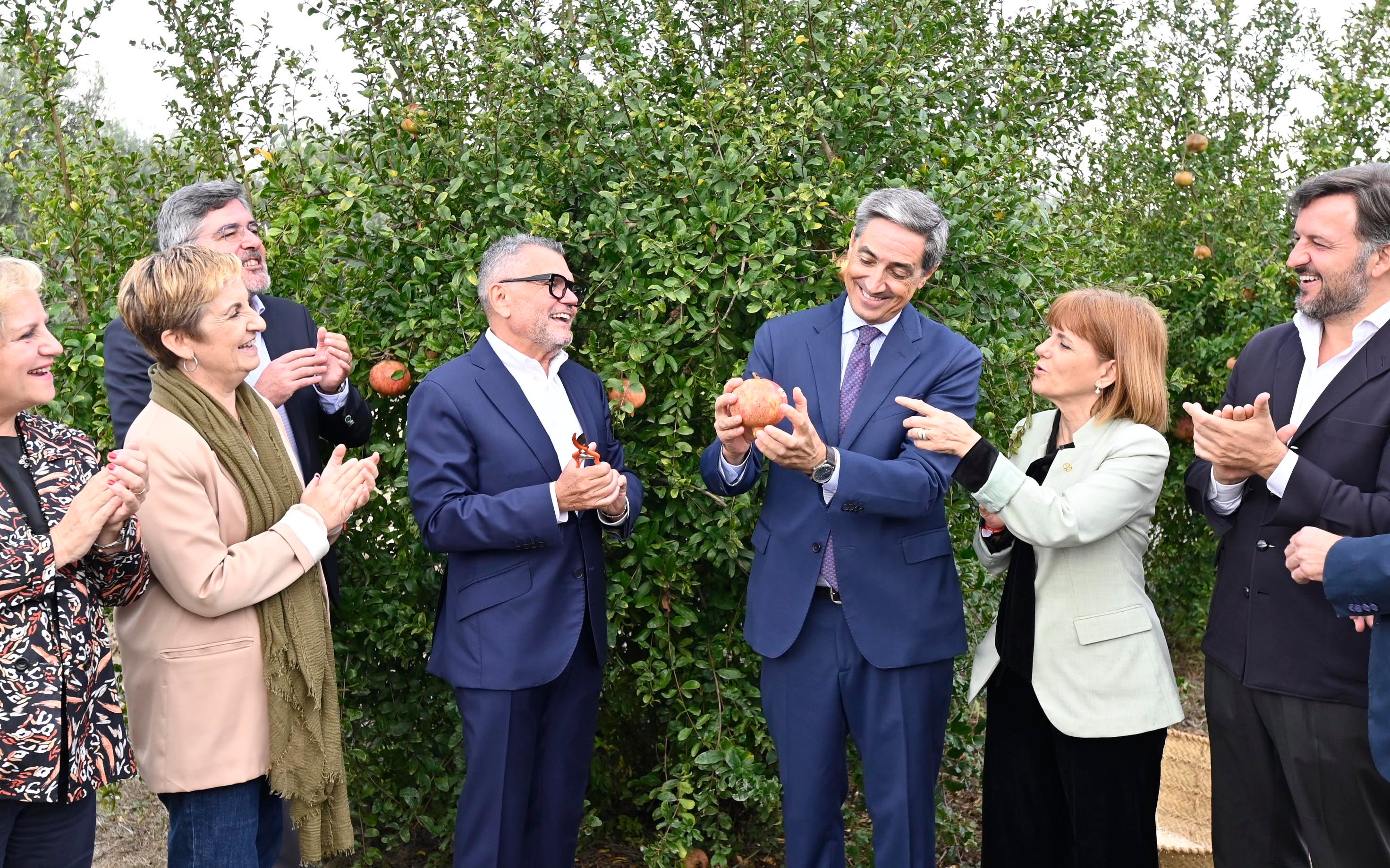 Los productores de Granada Mollar de Elche esperan recolectar este año 40.000 toneladas Los productores de Granada Mollar de Elche esperan recolectar este año 40.000 toneladas