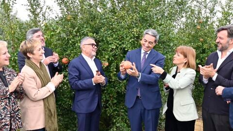 Acto del corte simb&oacute;lico de la primera Granada Mollar de Elche del a&ntilde;o 2025.