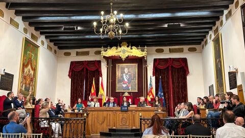 Pleno municipal del Ayuntamiento de Elche.