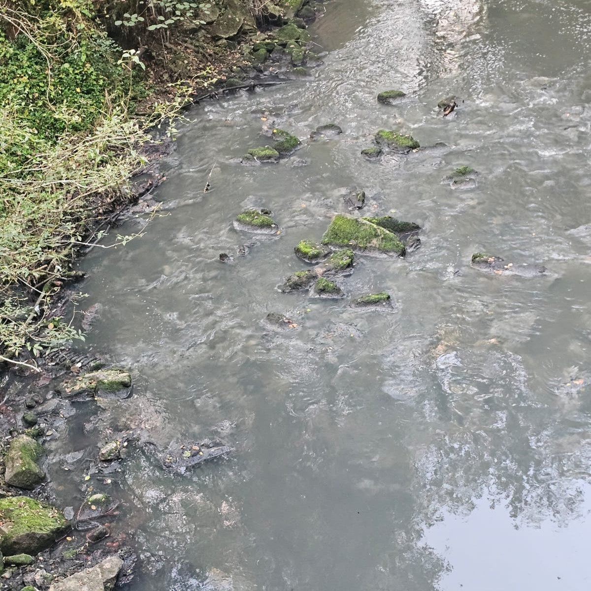 Trabajos de la nueva depuradora de A Silvouta, en Santiago, provocan vertidos al Sar que afectan a Ames, Brión y Rois Trabajos de la nueva depuradora de A Silvouta, en Santiago, provocan vertidos al Sar que afectan a Ames, Brión y Rois