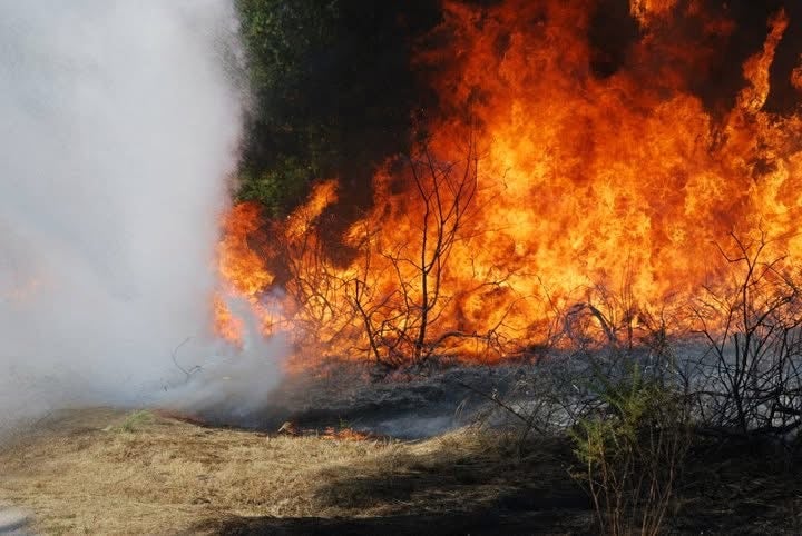 Extinguido o lume forestal en A Gudiña Extinguido o lume forestal en A Gudiña