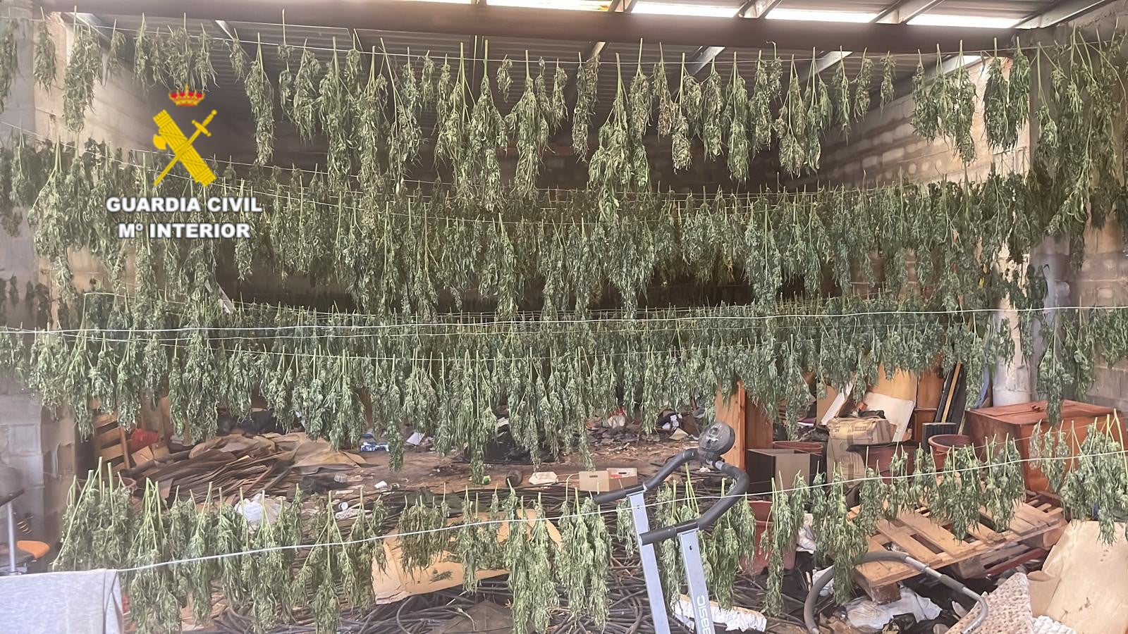 A prisión el responsable de un almacén con más de 90 kilos de marihuana en Sant Jordi A prisión el responsable de un almacén con más de 90 kilos de marihuana en Sant Jordi