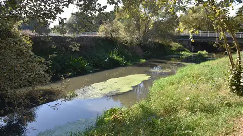 El Ayuntamiento de Ames denuncia ante la Fiscalía de Medio Ambiente el vertido en el río Sar y que califica de atentado medio ambiental muy grave" El Ayuntamiento de Ames denuncia ante la Fiscalía de Medio Ambiente el vertido en el río Sar y que califica de atentado medio ambiental muy grave"