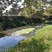 El Ayuntamiento de Ames denuncia ante la Fiscalía de Medio Ambiente el vertido en el río Sar y que califica de atentado medio ambiental muy grave"