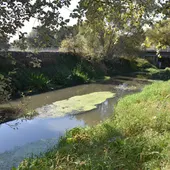 El Ayuntamiento de Ames denuncia ante la Fiscalía de Medio Ambiente el vertido en el río Sar y que califica de atentado medio ambiental muy grave" El Ayuntamiento de Ames denuncia ante la Fiscalía de Medio Ambiente el vertido en el río Sar y que califica de atentado medio ambiental muy grave"