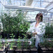 L’UJI augmenta més d’un 10 % l’obtenció de recursos i projectes en el Pla Estatal d’Investigació 2024