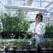 L’UJI augmenta més d’un 10 % l’obtenció de recursos i projectes en el Pla Estatal d’Investigació 2024 L’UJI augmenta més d’un 10 % l’obtenció de recursos i projectes en el Pla Estatal d’Investigació 2024