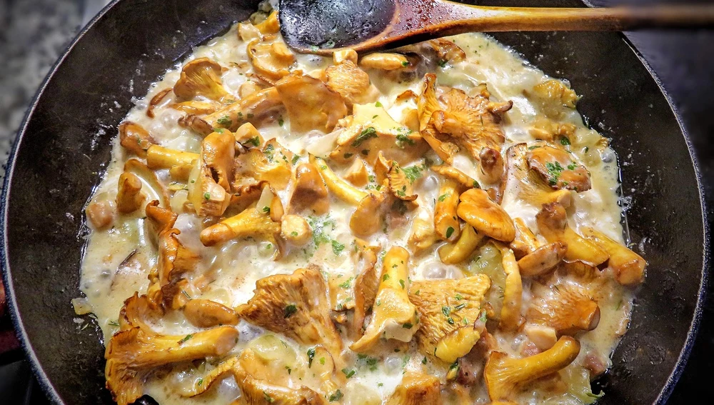 Guiso con rebozuelos Guiso con rebozuelos