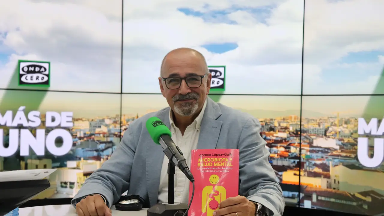 Científicos explican la relación que existe entre la microbiota de nuestro intestino y la salud mental