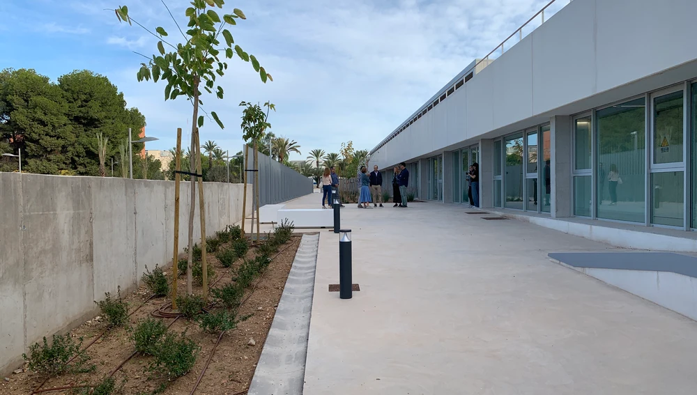 La UMH de Elche recepciona el ajardinamiento del entorno del nuevo edificio Valverde. La UMH de Elche recepciona el ajardinamiento del entorno del nuevo edificio Valverde.